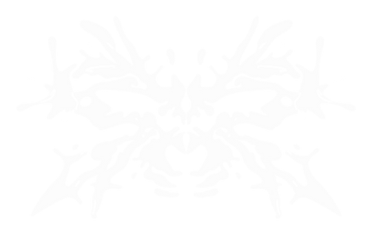 crazysociety